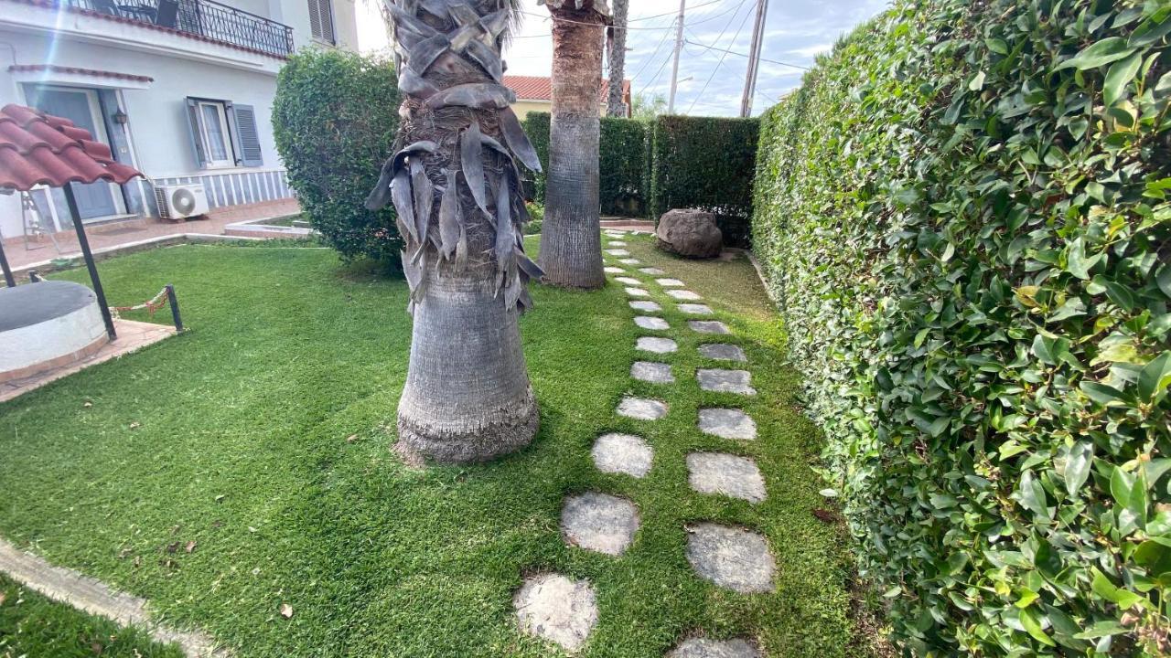 Palm Tree Apartmán *
