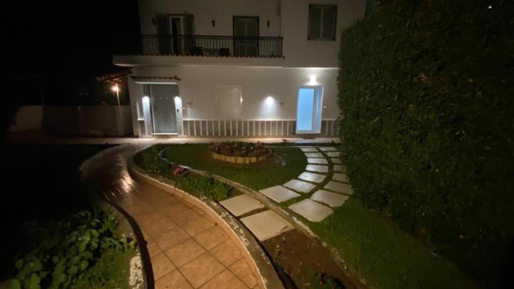 Appartement Palm Tree Patras