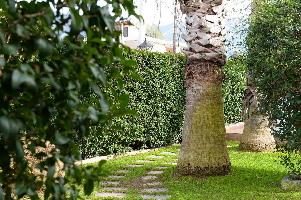 Appartement Palm Tree Patras